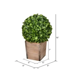 Kirkland's Home Boxwood Ball And Wooden Box Arrangement- Arrangements & Greenery