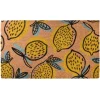Kirkland's Home Bright Lemon Citrus Doormat- Doormats