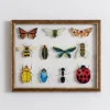 Kirkland's Home Bug Collection Framed Wall Art- Framed Art