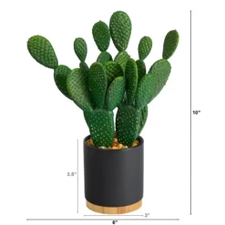 Kirkland's Home Bunny Ear Cactus In Black Mod Planter- Arrangements & Greenery