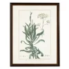 Kirkland's Home Bupleurum Greenery Black Beaded Framed Art Print- Framed Art