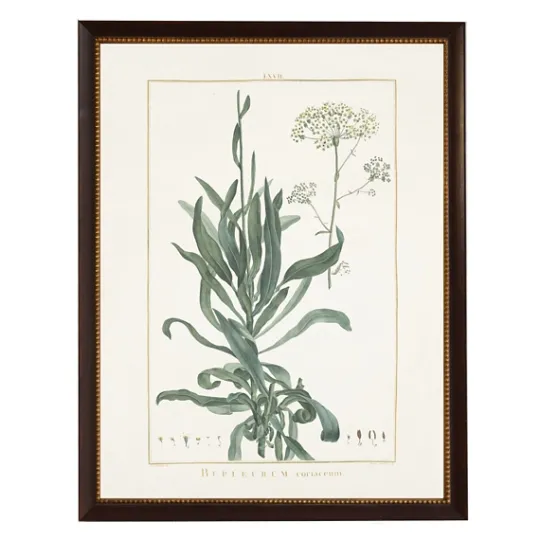 Kirkland's Home Bupleurum Greenery Black Beaded Framed Art Print- Framed Art