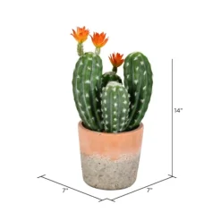 Kirkland's Home Cactus In Clay Pot, 14 In.- Arrangements & Greenery