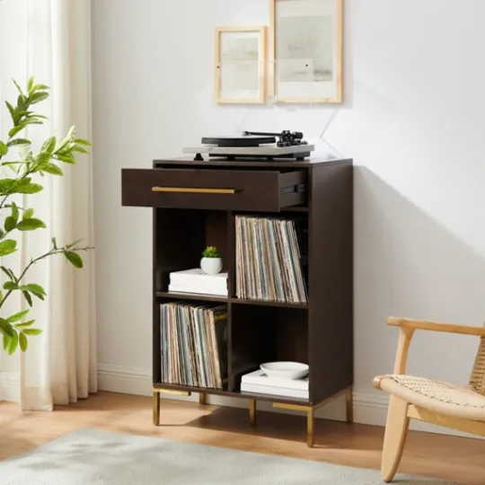 Kirkland's Home Cadence Gold Record Storage Bookcase- Bookshelves