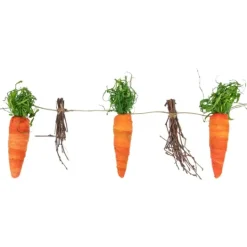 Kirkland's Home Carrot And Twig Bundle Garland- Decorative Accents