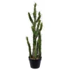 Kirkland's Home Cereus Cactus In Black Pot, 34 In.- Trees & Topiaries