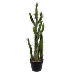 Kirkland's Home Cereus Cactus In Black Pot, 34 In.- Trees & Topiaries