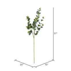 Kirkland's Home Cinerea Eucalyptus Leaf Stems, Set Of 4- Stems & Bouquets