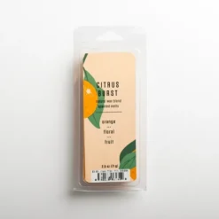 Kirkland's Home Citrus Burst Wax Melts- Home Fragrance