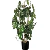 Kirkland's Home Climbing Split Leaf Philodendron Plant- Trees & Topiaries