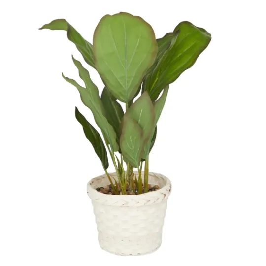 Kirkland's Home Coastal Foliage In Woven Bamboo Planter- Arrangements & Greenery