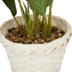 Kirkland's Home Coastal Foliage In Woven Bamboo Planter- Arrangements & Greenery