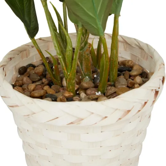 Kirkland's Home Coastal Foliage In Woven Bamboo Planter- Arrangements & Greenery