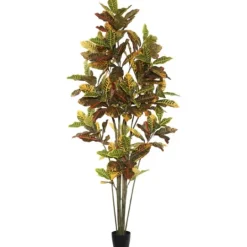 Kirkland's Home Colorful Croton Tree In Black Planter, 7 Ft.- Trees & Topiaries