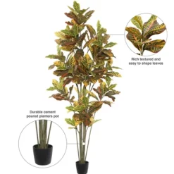 Kirkland's Home Colorful Croton Tree In Black Planter, 7 Ft.- Trees & Topiaries