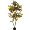 Kirkland's Home Colorful Croton Tree In Black Planter, 5 Ft.- Trees & Topiaries