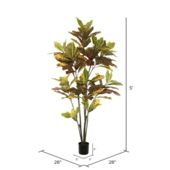 Kirkland's Home Colorful Croton Tree In Black Planter, 5 Ft.- Trees & Topiaries