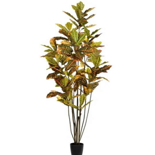 Kirkland's Home Colorful Croton Tree In Black Planter, 6 Ft.- Trees & Topiaries