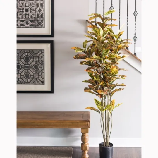 Kirkland's Home Colorful Croton Tree In Black Planter, 6 Ft.- Trees & Topiaries