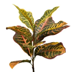 Kirkland's Home Colorful Croton Tree In Black Planter, 6 Ft.- Trees & Topiaries