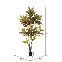 Kirkland's Home Colorful Croton Tree In Black Planter, 6 Ft.- Trees & Topiaries