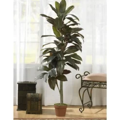 Kirkland's Home Cordyline Plant In Terracotta Planter- Trees & Topiaries