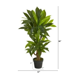 Kirkland's Home Corn Stalk Dracaena Plant In Black Planter- Trees & Topiaries