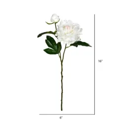 Kirkland's Home Cream Blooming Peony Stems, Set Of 6- Stems & Bouquets