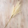 Kirkland's Home Cream Pampas Grass Stem- Stems & Bouquets