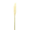 Kirkland's Home Cream Pampas Stems, Set Of 4- Stems & Bouquets