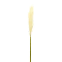 Kirkland's Home Cream Pampas Stems, Set Of 4- Stems & Bouquets