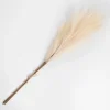 Kirkland's Home Cream 3-Pc. Pampas Grass Bundle, 38 In.- Stems & Bouquets