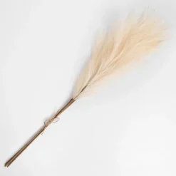 Kirkland's Home Cream 3-Pc. Pampas Grass Bundle, 38 In.- Stems & Bouquets