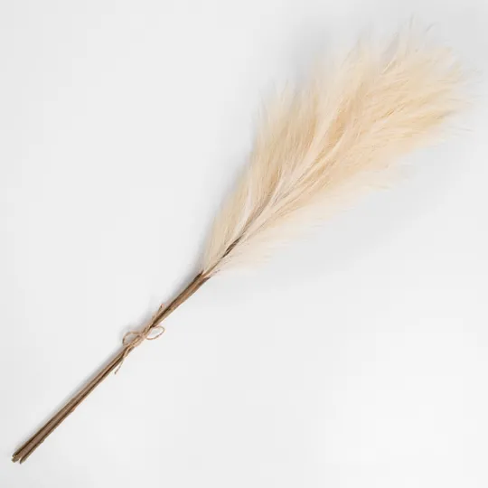 Kirkland's Home Cream 3-Pc. Pampas Grass Bundle, 38 In.- Stems & Bouquets