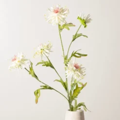 Kirkland's Home Cream Wild Daisy Stem- Stems & Bouquets