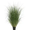 Kirkland's Home Curled Green Grass Potted Plant- Trees & Topiaries