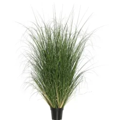 Kirkland's Home Curled Green Grass Potted Plant- Trees & Topiaries