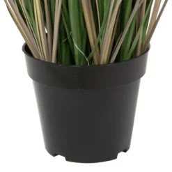 Kirkland's Home Curled Green Grass Potted Plant- Trees & Topiaries