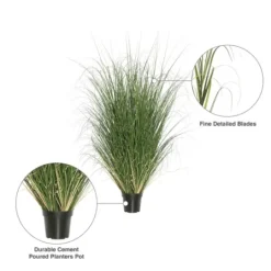 Kirkland's Home Curled Green Grass Potted Plant- Trees & Topiaries