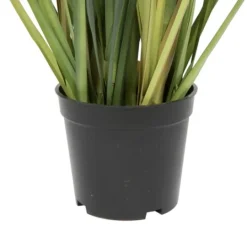 Kirkland's Home Dandelion Grass Potted Plant- Trees & Topiaries