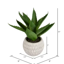 Kirkland's Home Deep Aloe Leaves In Ceramic Container- Arrangements & Greenery