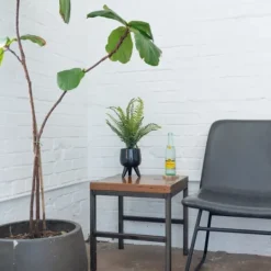 Kirkland's Home Desktop Palm Plant In Black Planter- Arrangements & Greenery