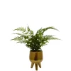 Kirkland's Home Desktop Palm Plant In Gold Planter- Arrangements & Greenery
