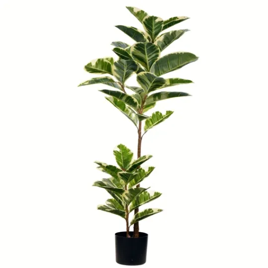 Kirkland's Home Dieffenbachia Tree In Black Planter- Trees & Topiaries