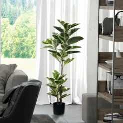 Kirkland's Home Dieffenbachia Tree In Black Planter- Trees & Topiaries