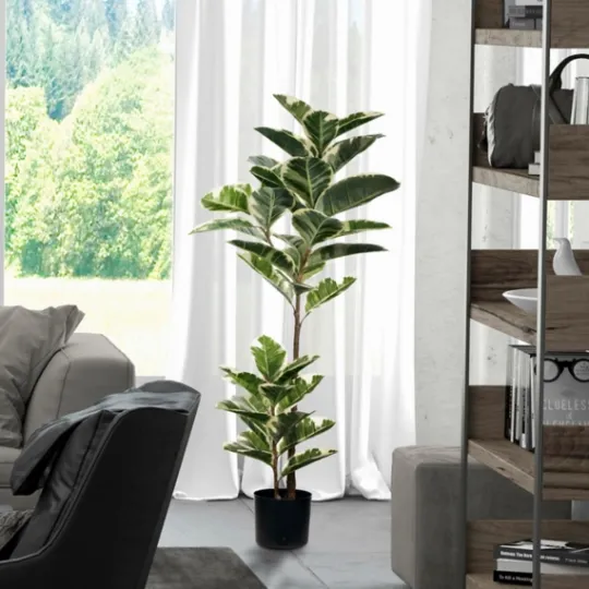 Kirkland's Home Dieffenbachia Tree In Black Planter- Trees & Topiaries