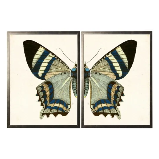 Kirkland's Home Diptych Butterfly Framed Art Print, Set Of 2- Framed Art