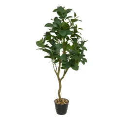 Kirkland's Home Douban Green In Ribbed Rock Planter- Trees & Topiaries