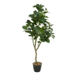 Kirkland's Home Douban Green In Ribbed Rock Planter- Trees & Topiaries
