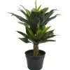 Kirkland's Home Double Agave Succulent, 29 In.- Trees & Topiaries